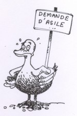 L'actu en dessins