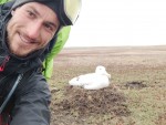 Alexis Veldeman, ornithologue en mission au bout du monde