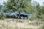 Des réserves pour conserver la nature