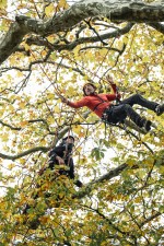 Arboriste élagueur, l’acrobate de la nature