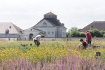 Tanguy et la verdure