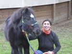 Le haras, un lieu de formation