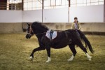 Le haras, un lieu de formation